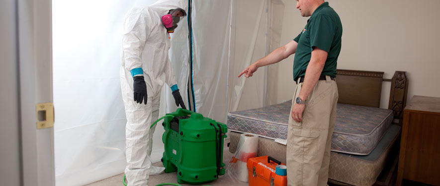 San Jacinto, CA mold removal process